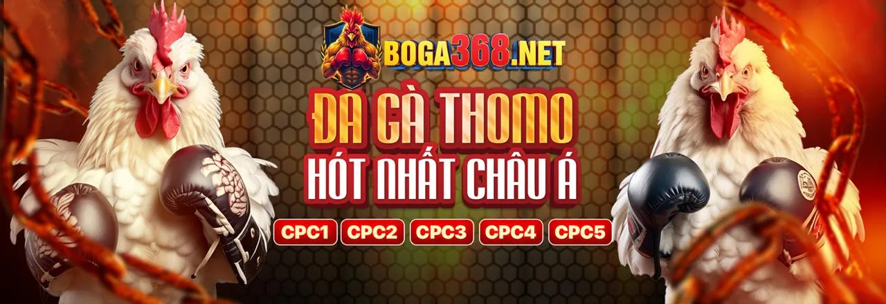 Tổng quan về nền tảng vn8 hiện đang mở