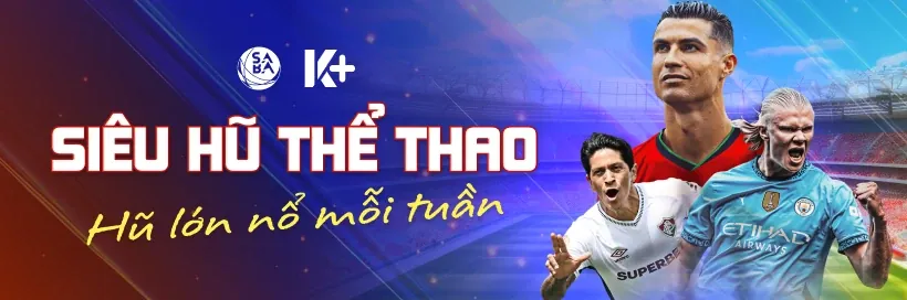 Thưởng sinh nhật và VIP VN8